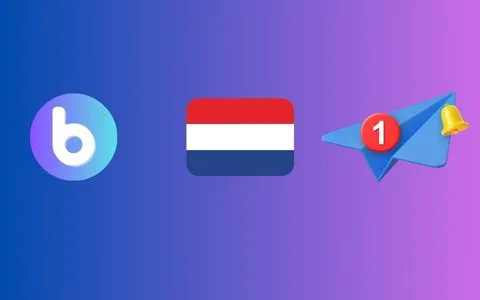 BigFile Dutch